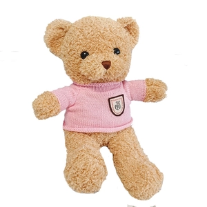 Cute brown teddy bear in pink knitted sweater with a shield badge on white background