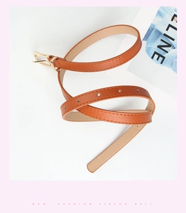 Detail shot of brown PU leather skinny belt with elegant gold metal buckle for dresses