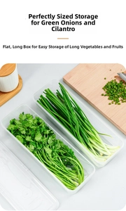 Stackable long plastic food container with lid for storage of scallions and herbs