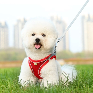 Red breathable mesh dog harness vest with reflective strips on white dog in outdoor setting