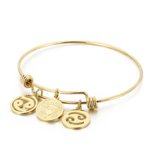 Minimalist gold plated stainless steel Cancer zodiac charm bracelet for women