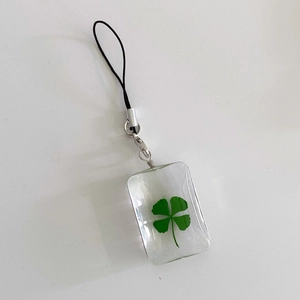 Detail of transparent resin rectangle charm with real green four-leaf clover inside