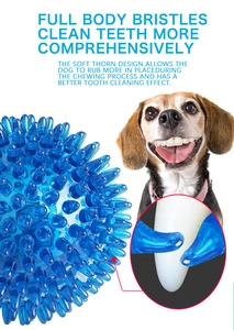 Detail of blue TPR pet ball showing soft thorns for dog tooth cleaning and gum massage