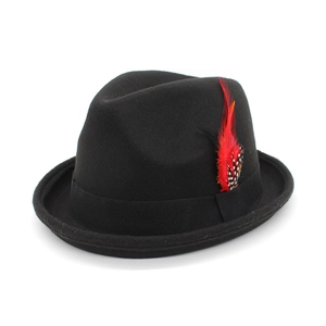 Classic black wool fedora hat for men featuring a striking red feather accent on white background