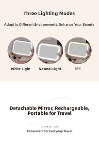 Pink makeup case detail with adjustable LED mirror showing three light modes
