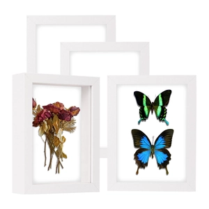 3cm deep white square shadow box frame for dried flowers and 3D butterfly specimens