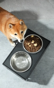 Détail du support de gamelle surélevé en acier inoxydable avec nourriture pour chien