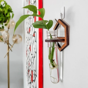 Macro shot of wall-mounted wooden hexagon stand with glass hydroponic plant tube