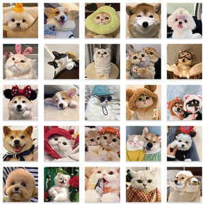 52-piece set of waterproof cartoon pet stickers featuring cute cats and dogs for laptops