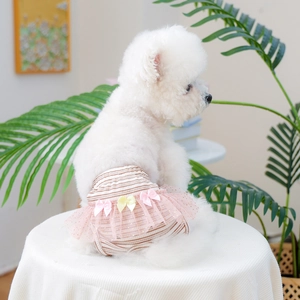 Detail of pink striped dog physiological pant with lace skirt and yellow bow accessories