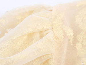 Macro detail of champagne mesh fabric with delicate lace embroidery and sequins