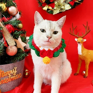 Detail of hand-knitted pet Christmas collar with bell on a white cat model
