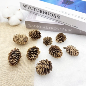 Close-up of natural dried pine cones in various sizes on soft white plush and linen