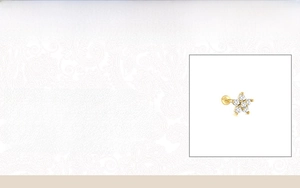 Detailed product specifications for 925 Sterling Silver ear studs with cubic zirconia