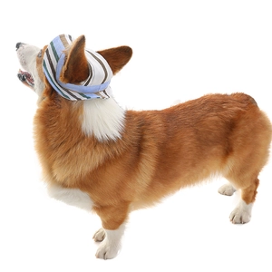 Detail of a Corgi wearing a striped dog sun hat with blue and white canvas fabric