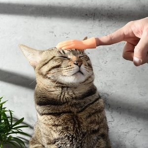 Mini plastic finger puppet for cat massage and interactive play with a pet cat