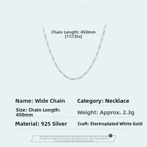 Specifiche della catena a maglie in argento 925 con lunghezza 450mm e peso di 2,3g