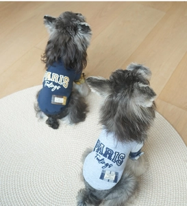 Detail of dog sweatshirts with PARIS embroidery and blue plaid patchwork on soft cotton