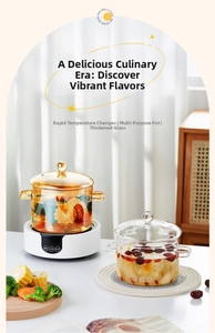 Thickened borosilicate glass pot set with electric ceramic stove for cooking