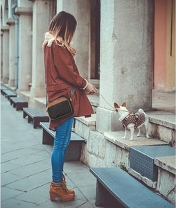 Quilted crossbody bag and pet harness styled with a red plaid coat and brown boots