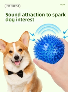 Close-up of blue spiked TPR squeaky dog toy with a Corgi showing interactive play