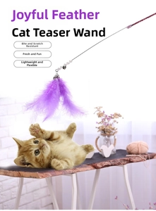 Detail of purple feather cat wand with metal bell and pearl on long flexible rod