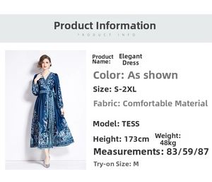 Detail view of ethnic print V-neck maxi dress with waist tie and sizing parameters