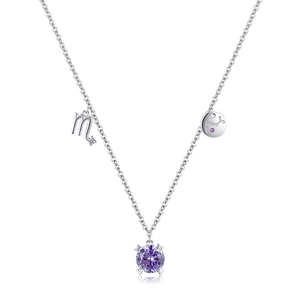 S925 sterling silver Scorpio pendant necklace with round purple stone and star charms