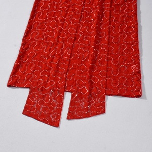 Detailed view of red lace fabric with shimmering sequins on a two-piece maxi dress set
