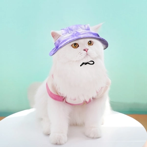 Detail of a purple satin sun hat on a cat with an adjustable black safety strap buckle