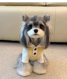 Close-up of cream and yellow fleece dog sweater with decorative buttons and soft texture