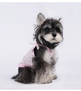 Veste en dentelle rose pour chien avec nœuds et détails en tulle sur un schnauzer
