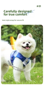 Close-up of a blue breathable mesh dog harness vest on a white Pomeranian outdoors
