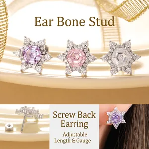 Stainless Steel Hexagon Zircon Star Stud Earring For Cartilage Piercing Jewelry Screw Back Sparkling For Women