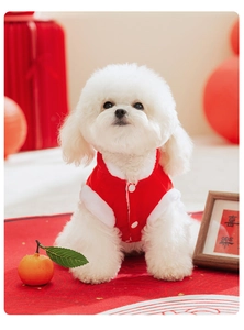 Detail of red festive pet vest with white faux fur trim on a small white dog model