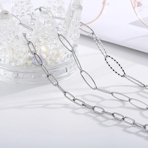 Polished silver titanium steel chain necklace on crown stand for glasses or sweaters