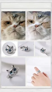 Makro-Detail des Vintage-Silber-Katzenrings mit markanten blauen Augen und Retro-Oberfläche