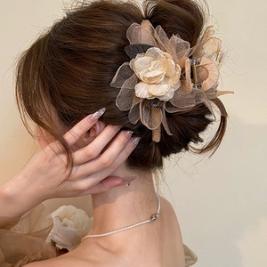 Elegant vintage mesh rose hair claw clip in champagne beige for a princess aesthetic