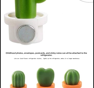 Close-up of 3D cactus fridge magnets with strong round magnets on back for whiteboards