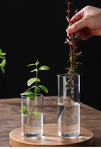 Detailed view of clear glass hydroponic vases on a wooden tray with black background