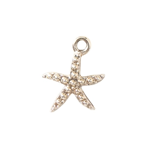 Minimalist silver starfish pendant with textured metallic finish on a white background