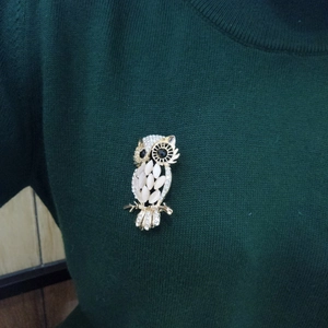 Fashionable owl brooch with cat's eye stone and crystals on green knit fabric