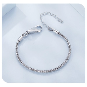 Detailed view of 925 sterling silver snake chain with lobster clasp and extension rings