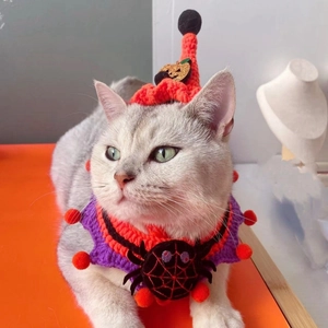 Halloween gebreide puntmuts met pompoen en oranje paarse spinnenweb halsband voor huisdier
