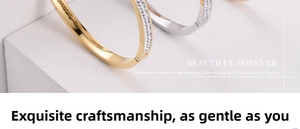 Detailed close-up of titanium steel bangles featuring double-row crystal inlays