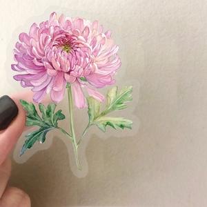 Macro detail of waterproof pink watercolor daisy PET sticker shown by hand