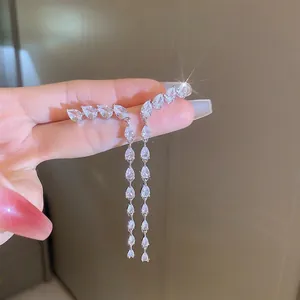 Eleganti orecchini lunghi in argento con nappe e zirconi scintillanti a goccia