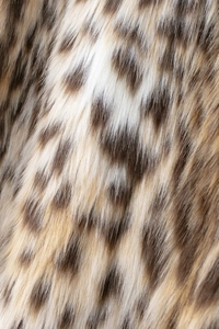 Gros plan sur la texture douce et l'imprimé léopard du tissu de la veste en fausse fourrure