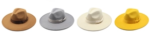 Detailed row of wide brim wool fedora hats in brown, grey, beige and yellow felt