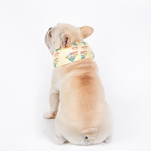 French Bulldog wearing a light yellow cooling neck wrap with cartoon clown patterns